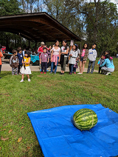 44445432685_2816605675_n